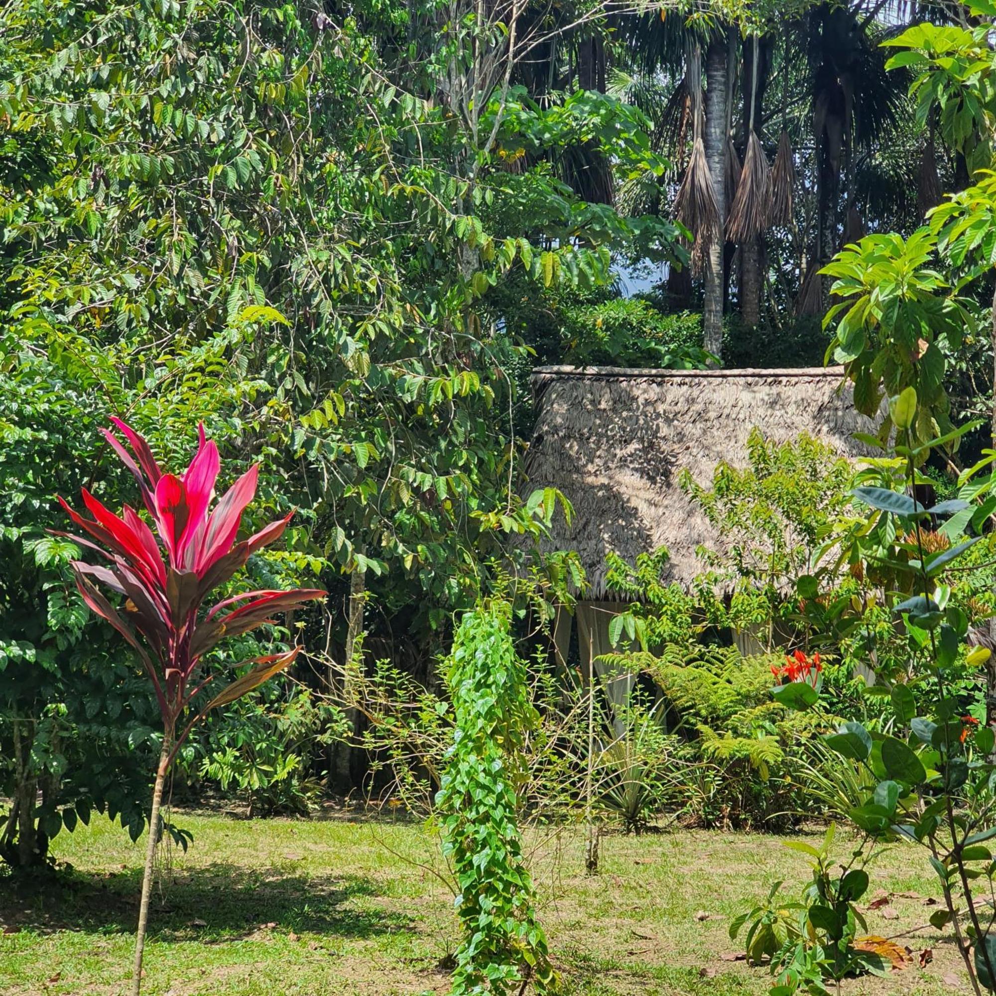 Amazona Lodge Leticia Buitenkant foto