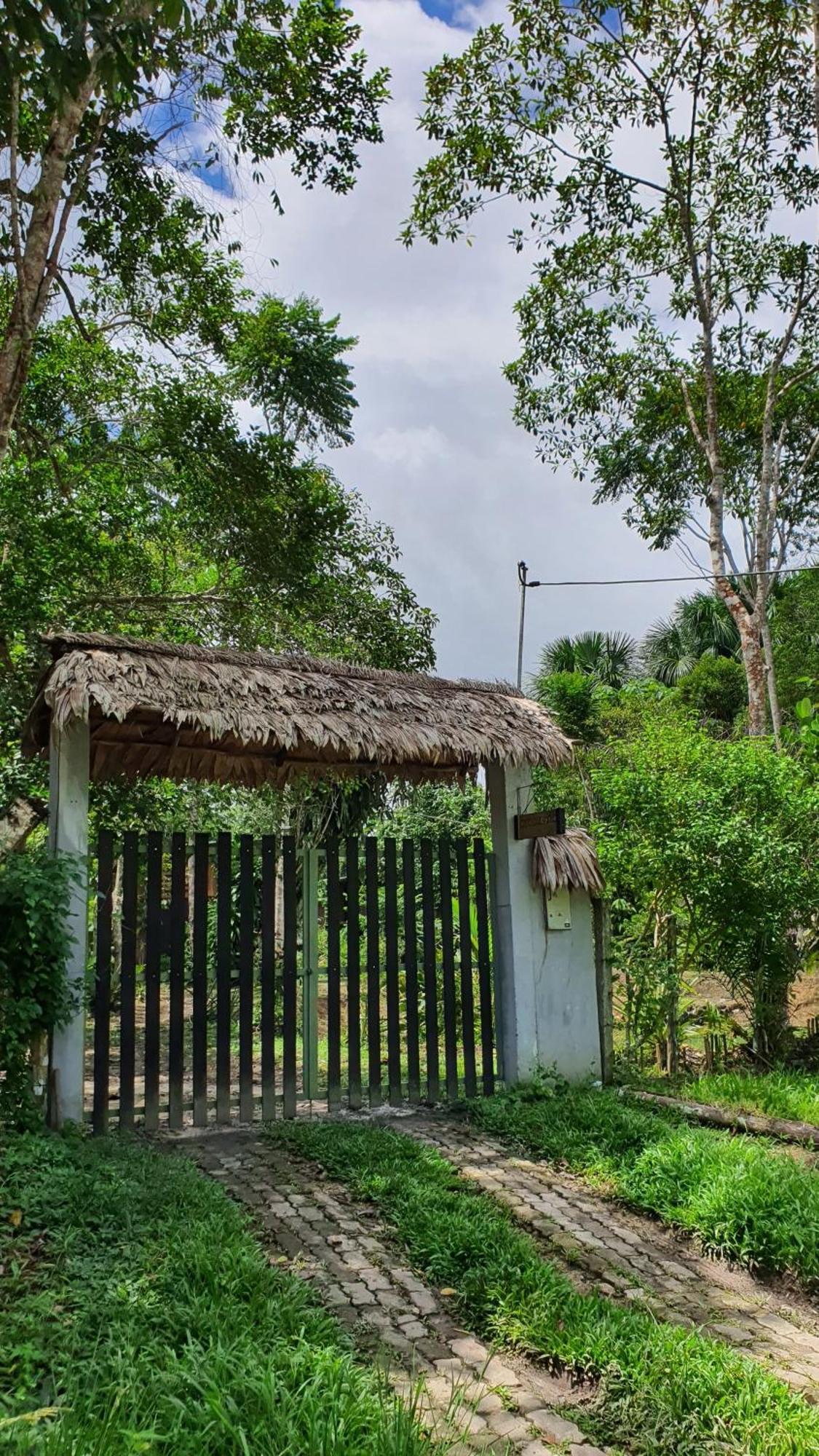 Amazona Lodge Leticia Buitenkant foto