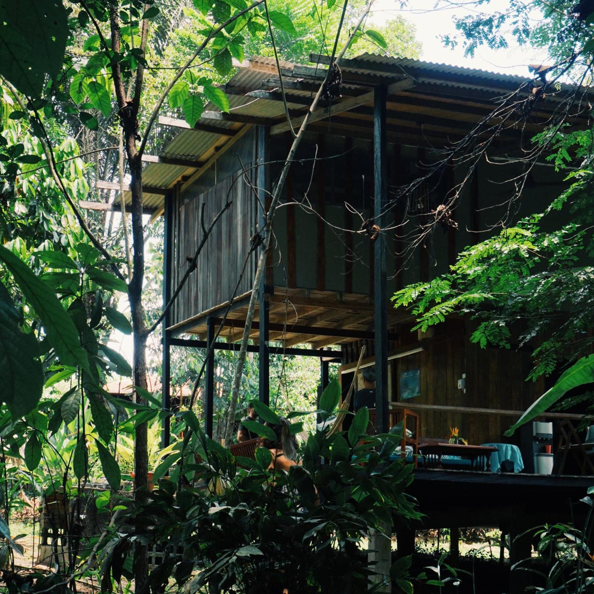 Amazona Lodge Leticia Buitenkant foto